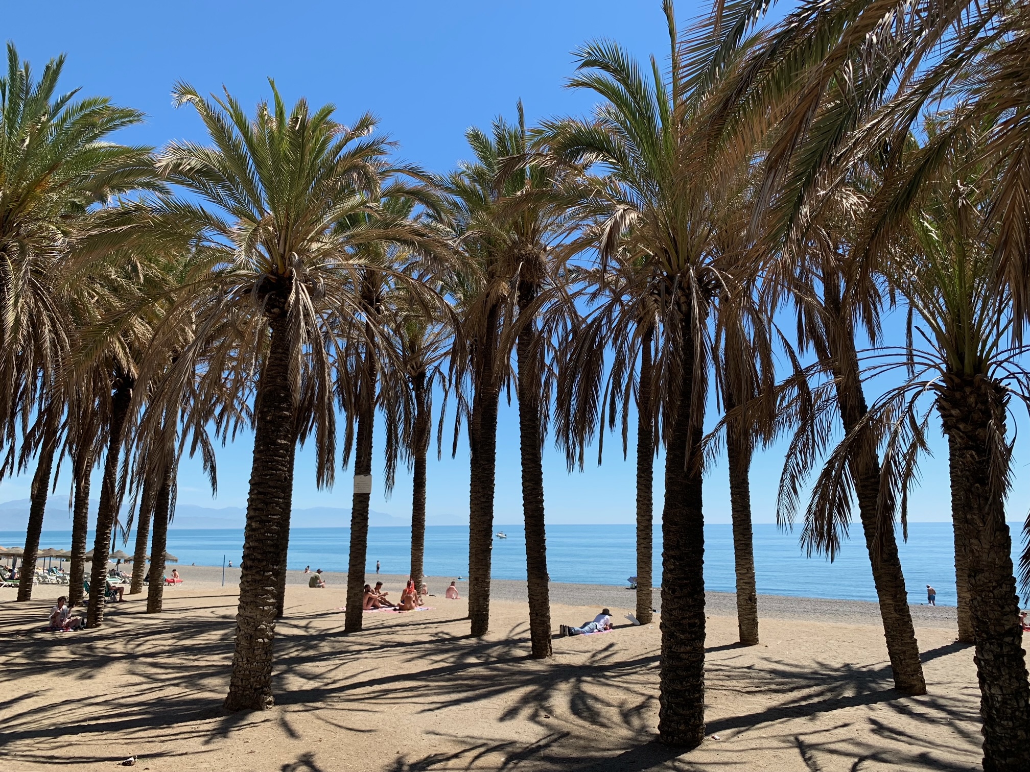 Strand Torremolinos Palmen Meer